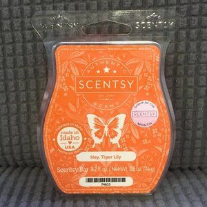 Hey, Tiger Lily Scentsy Wax Bar